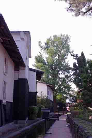 b0117718_18165833.jpg