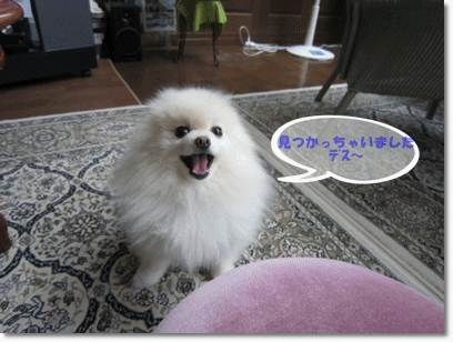 b0167519_985719.gif