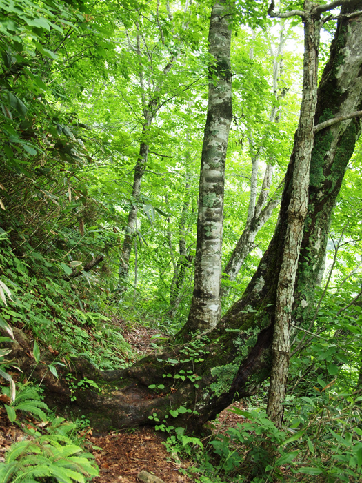 b0244424_214056.jpg