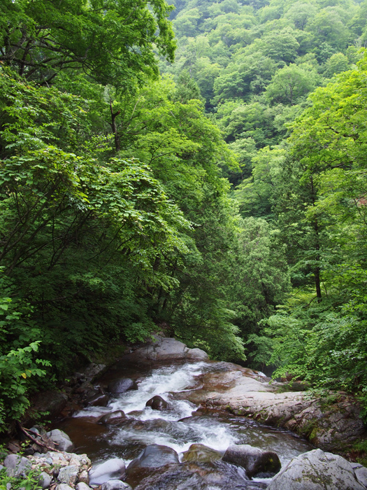 山奥の秘湯へ３_b0244424_285164.jpg