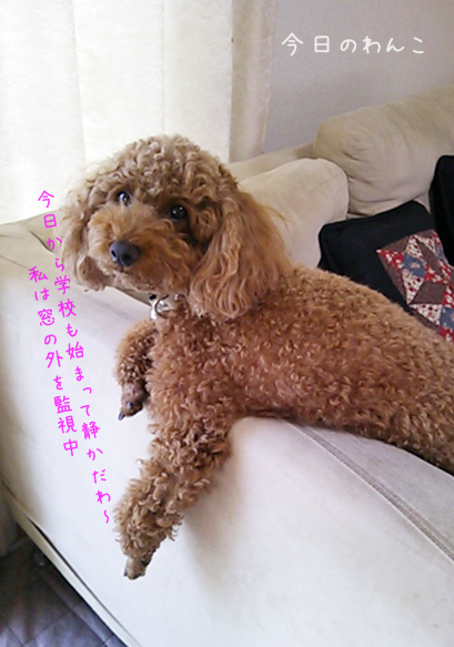 f0135026_12203886.png