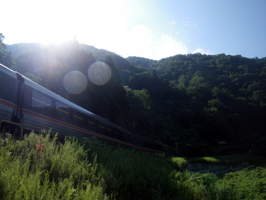 d0172227_17175138.jpg