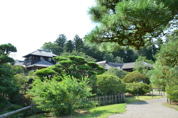 夏の偕楽園 フォト フォト フォト 夏の偕楽園 フォト フォト フォト