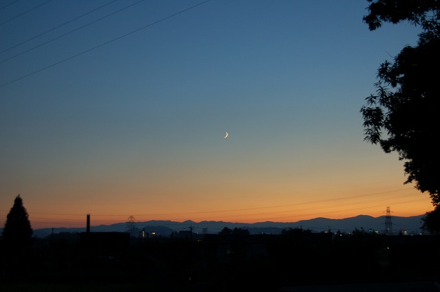 b0097729_23374864.jpg
