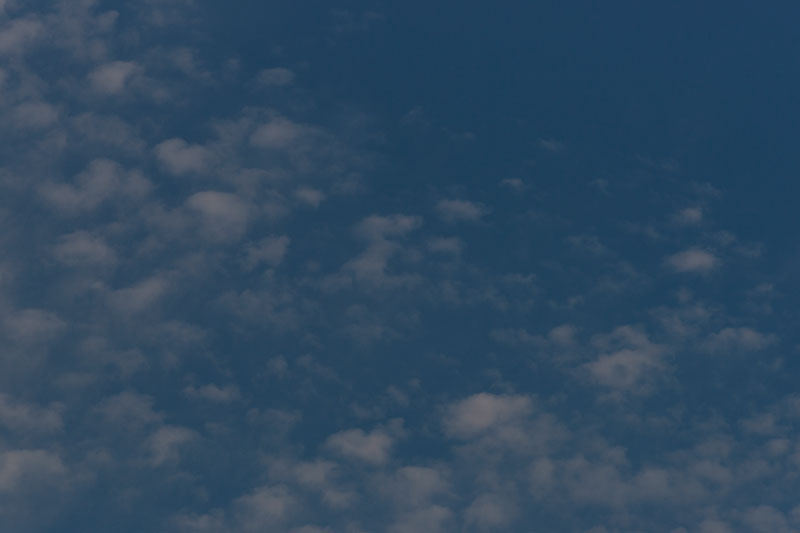 b0177233_5123312.jpg