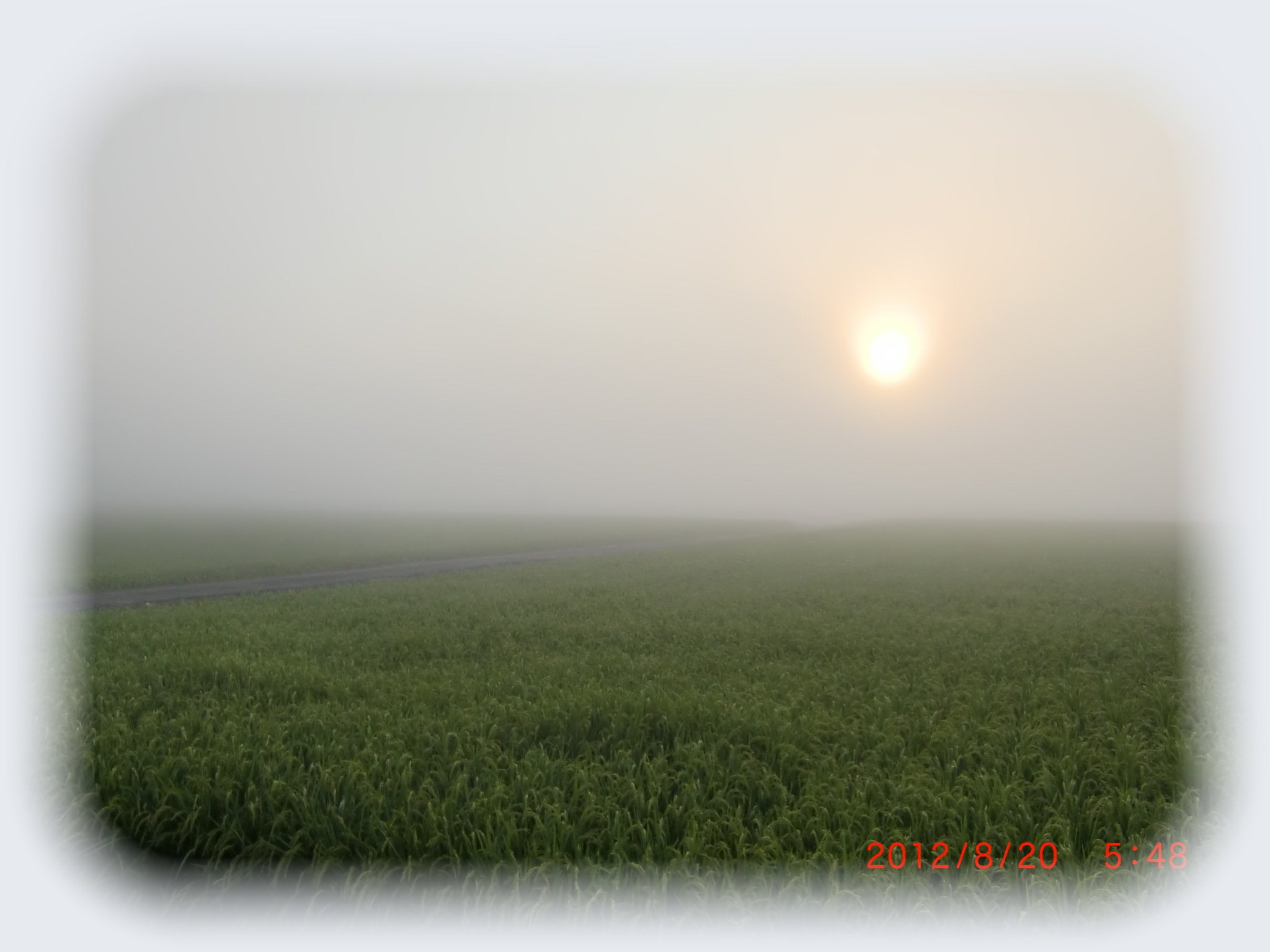 f0020336_2085019.jpg
