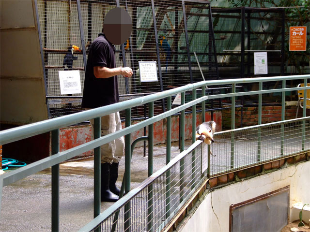 夢と希望_a0179837_11194148.jpg