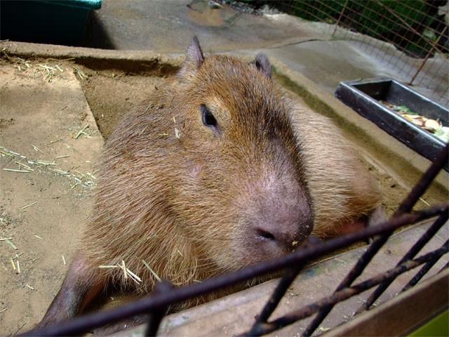 夢と希望_a0179837_1304574.jpg