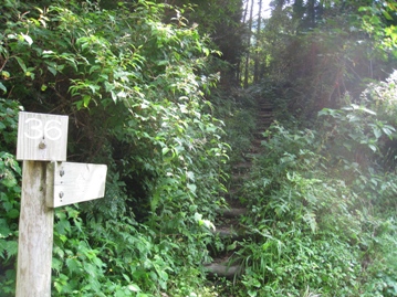 c0077338_64032.jpg