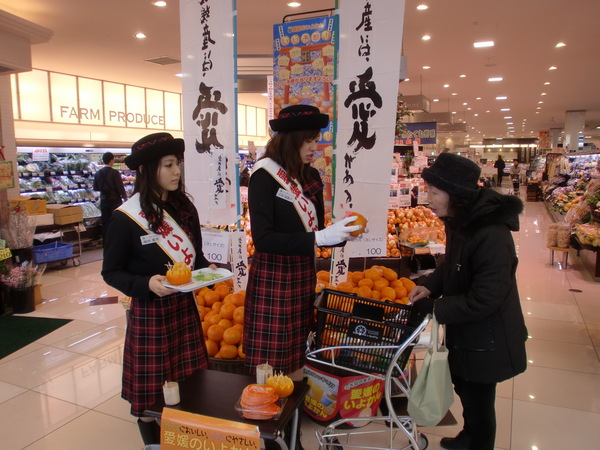 11日間のいよかん消費宣伝キャンペーン☆_c0238739_2015144.jpg