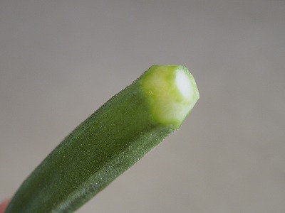 e0288841_1933030.jpg