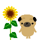 a0216142_2393528.gif