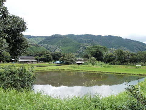 b0199742_213159.jpg