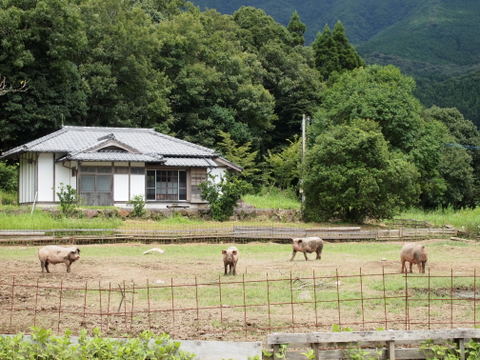 b0199742_2132731.jpg
