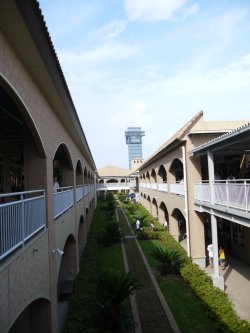 e0227942_20392390.jpg