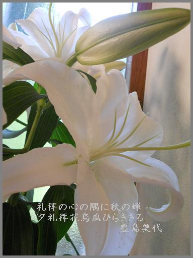 母との別れ(2012年7月27日)_f0172744_83263.jpg
