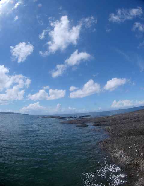 a0095546_0145166.jpg