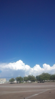c0132250_13211056.jpg