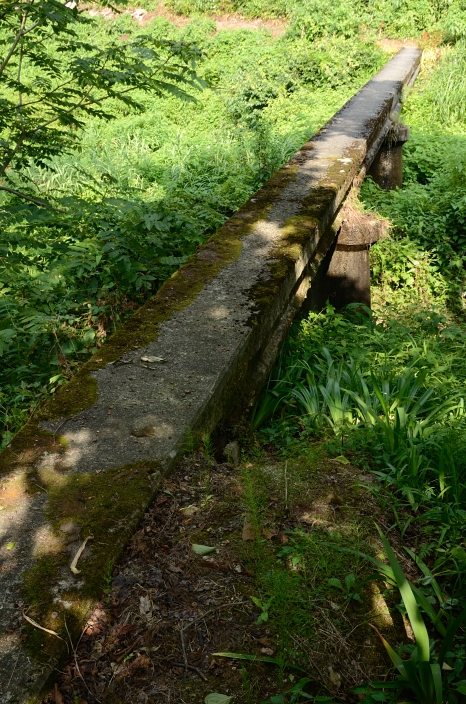 a0263952_20245820.jpg
