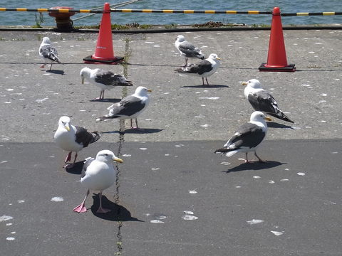f0161552_029433.jpg