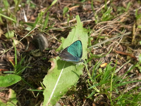 f0161552_0511638.jpg