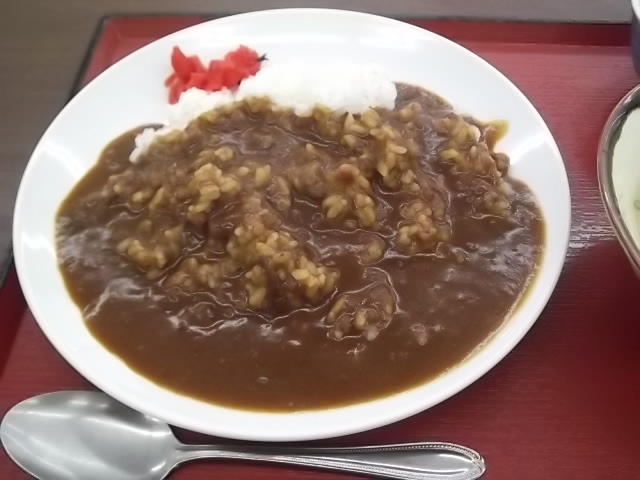 まいどおおきに食堂のカレー_a0148953_1905331.jpg