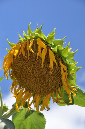 e0284355_2110695.jpg