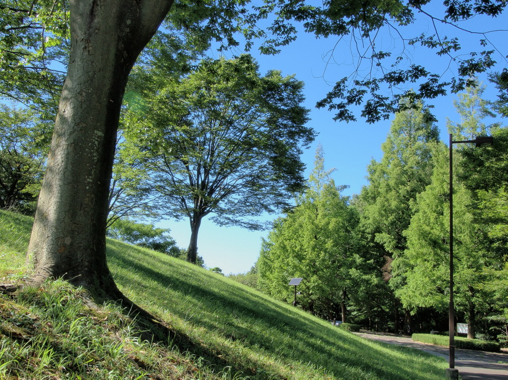 e0290358_23104224.jpg