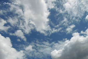 e0263072_46416.jpg