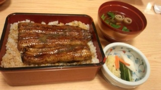 鰻だ!_e0040673_10171894.jpg