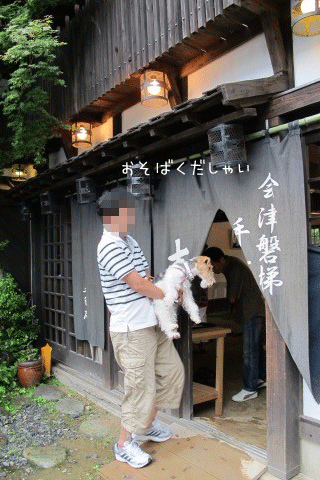 c0070377_1005561.gif