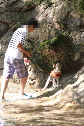 c0070377_1163699.gif