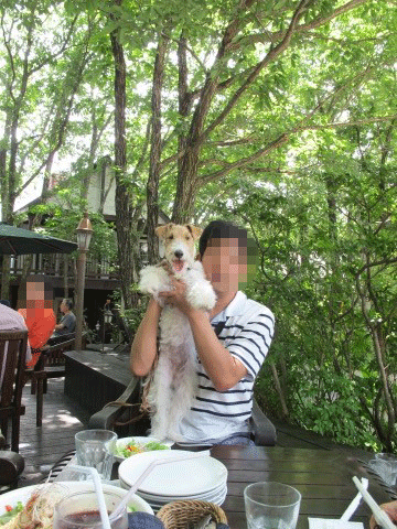c0070377_1244130.gif
