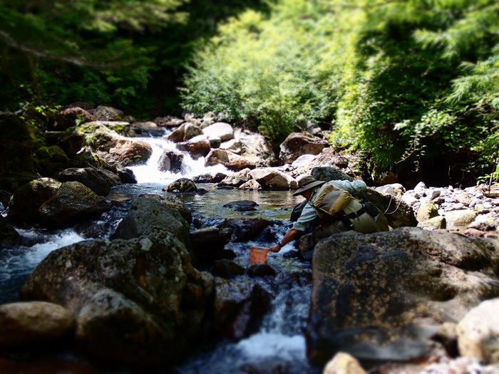 c0197578_23543913.jpg