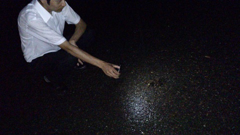 巨大沢ガニ捕獲!_d0182179_19561745.jpg
