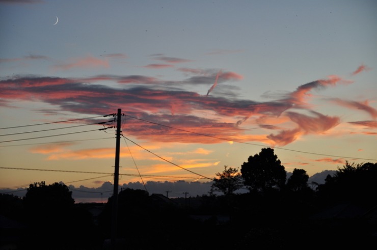 d0021491_239630.jpg