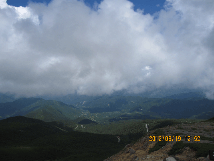 f0001993_18101072.gif
