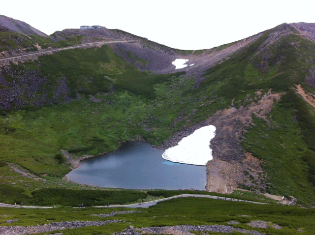 f0001993_18154749.gif