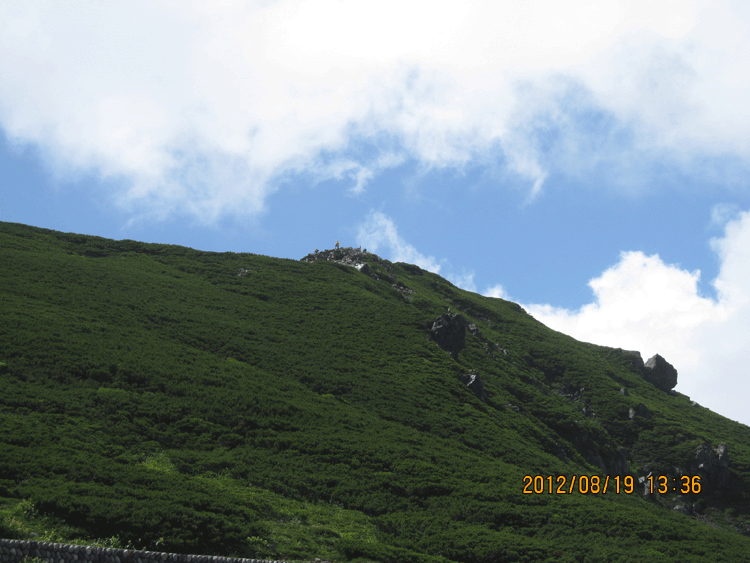 f0001993_18212489.gif
