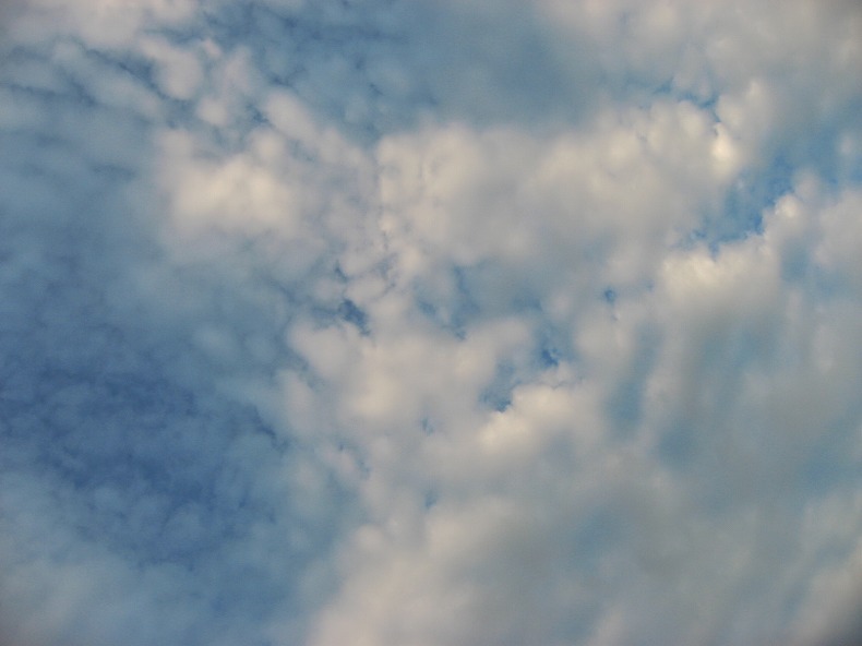 c0204298_20324051.jpg
