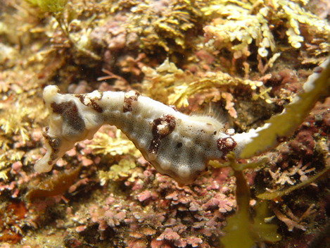 e0115199_1333367.jpg