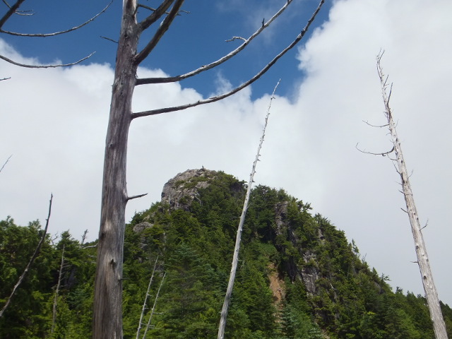 a0271502_15401485.jpg