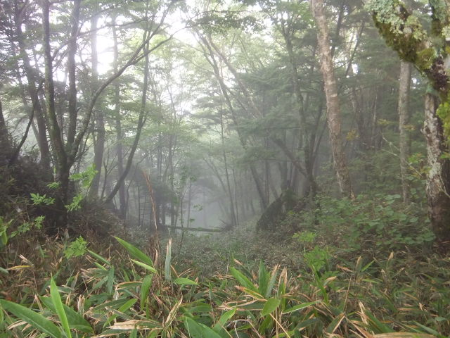 a0271502_1591026.jpg