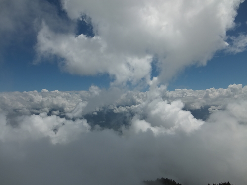 a0271502_1655967.jpg