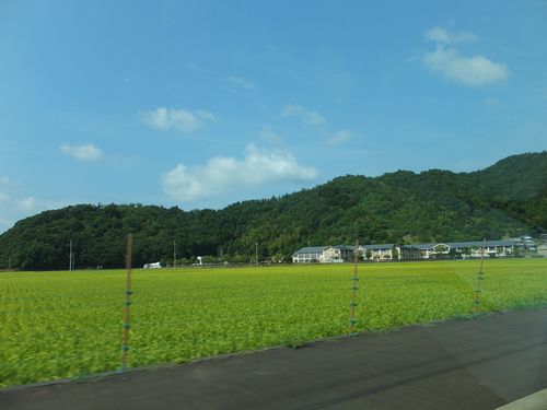 f0120102_721425.jpg