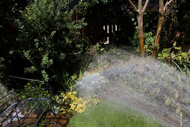 a0123003_13201055.jpg