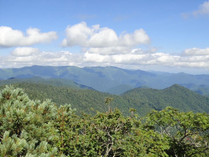 b0172805_9313758.jpg