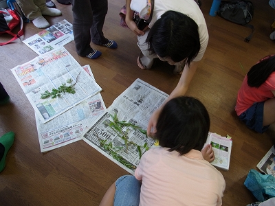 草抜き・植物標本作り_b0049307_1616476.jpg