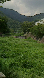 a0217512_15565261.jpg