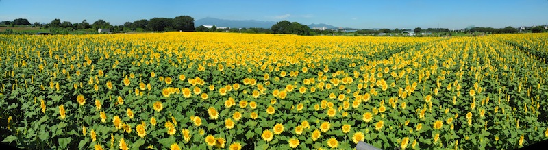 c0248013_16244839.jpg